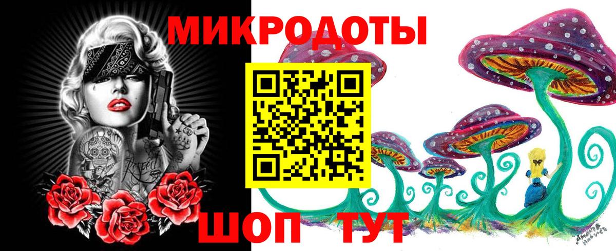 Галлюциногенные грибы прущие грибы Сегежа